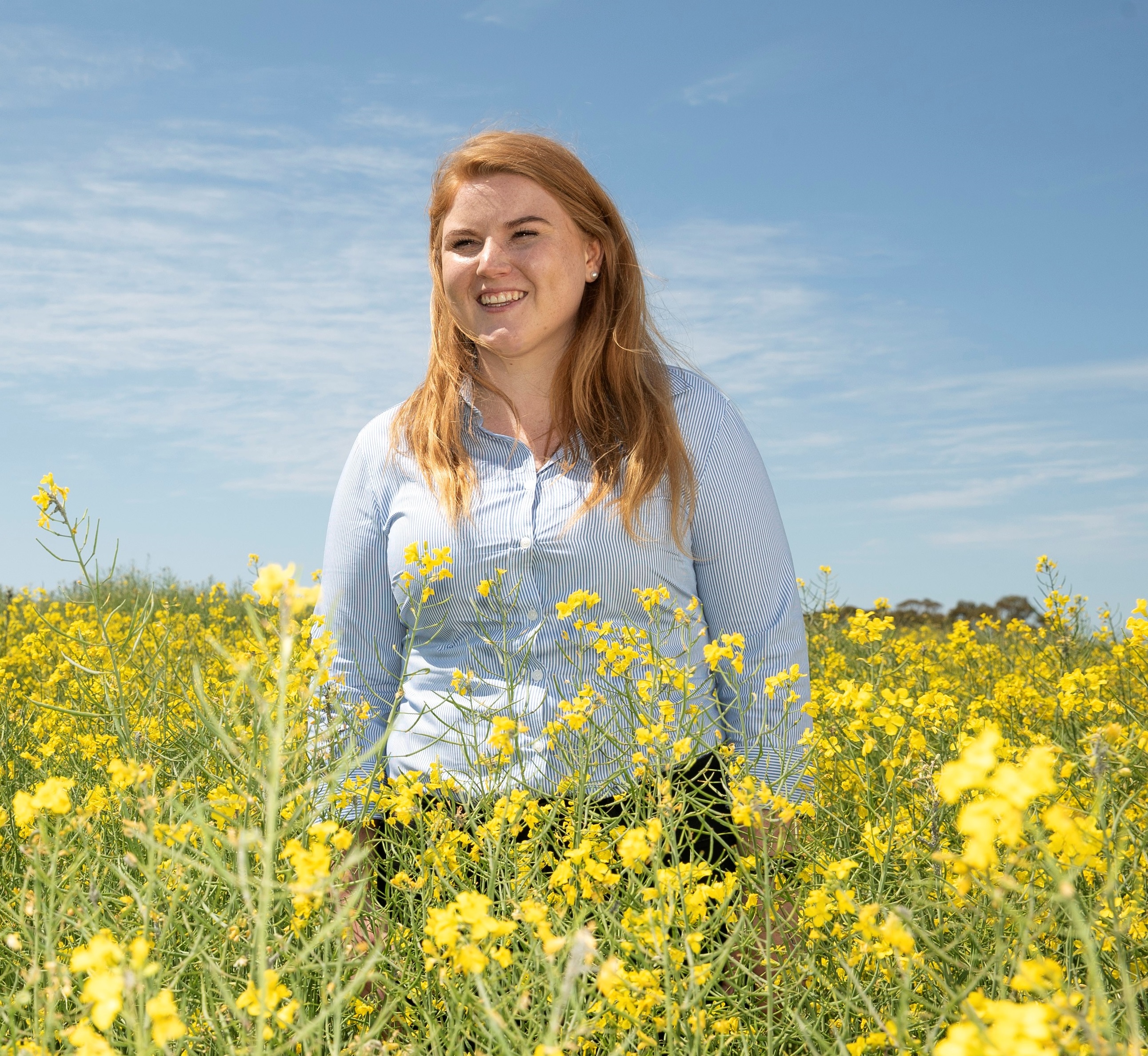 Hannah Barden_canola