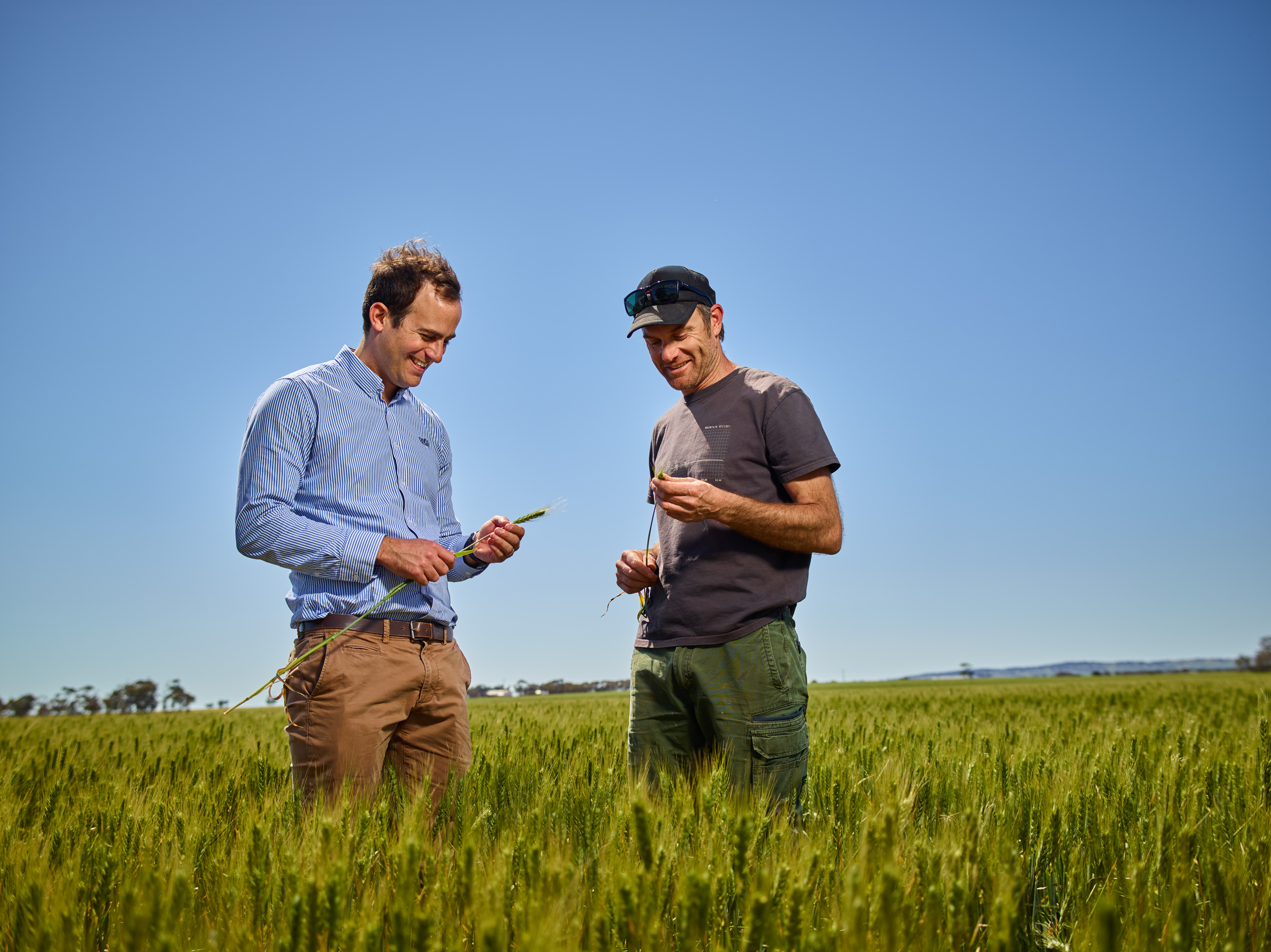 Know your options this harvest