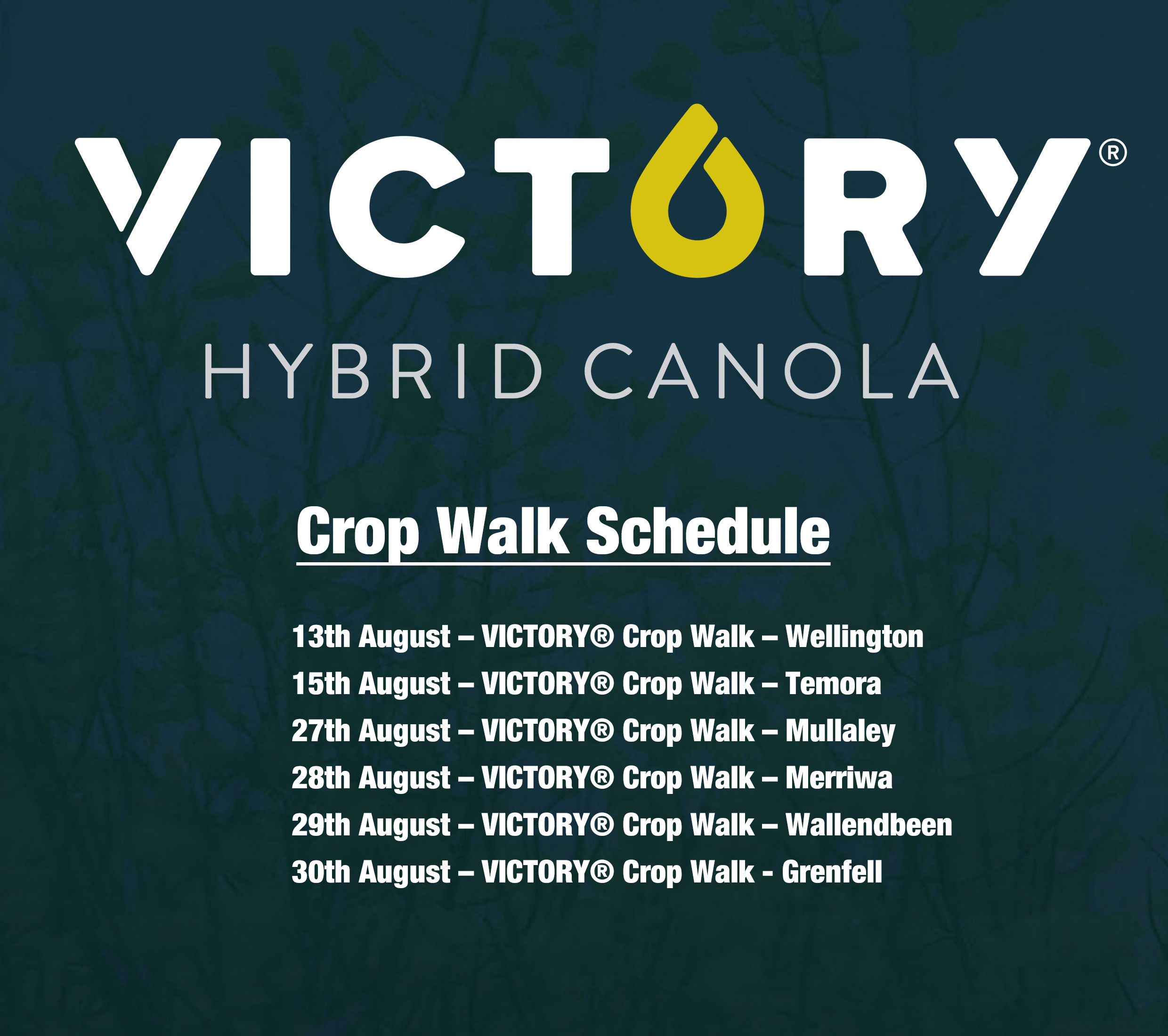 Victory crop walk schedule 2019
