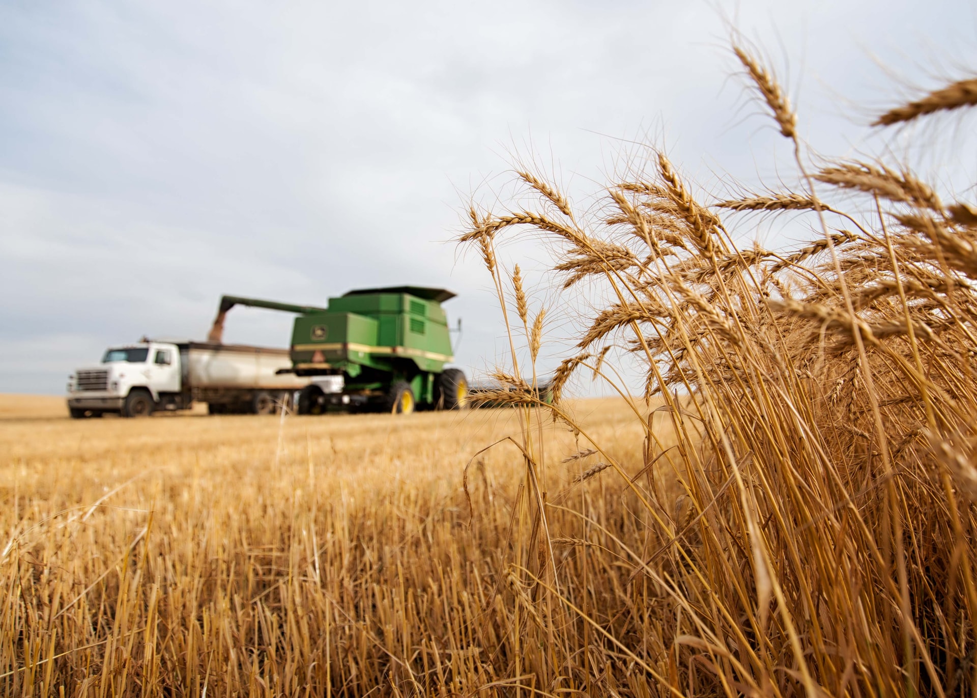 Harvest Truck_18102023