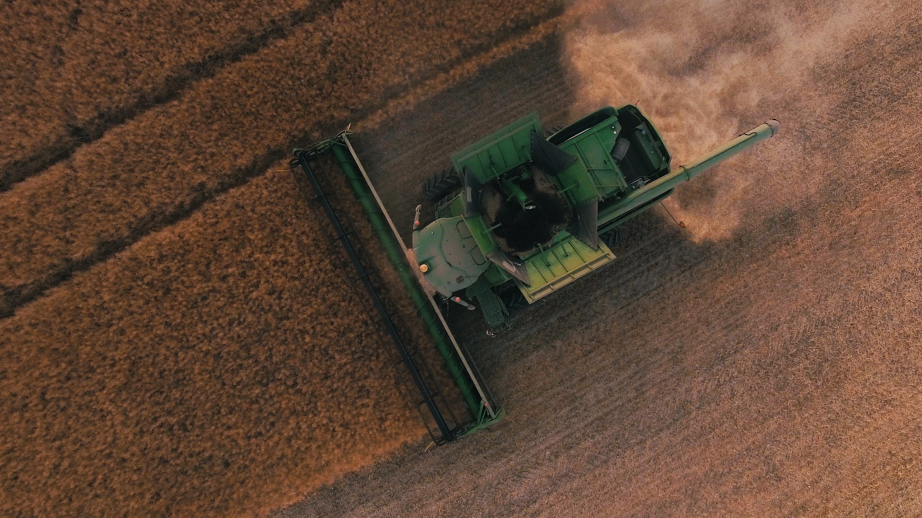 Harvest_Progresses_08112023