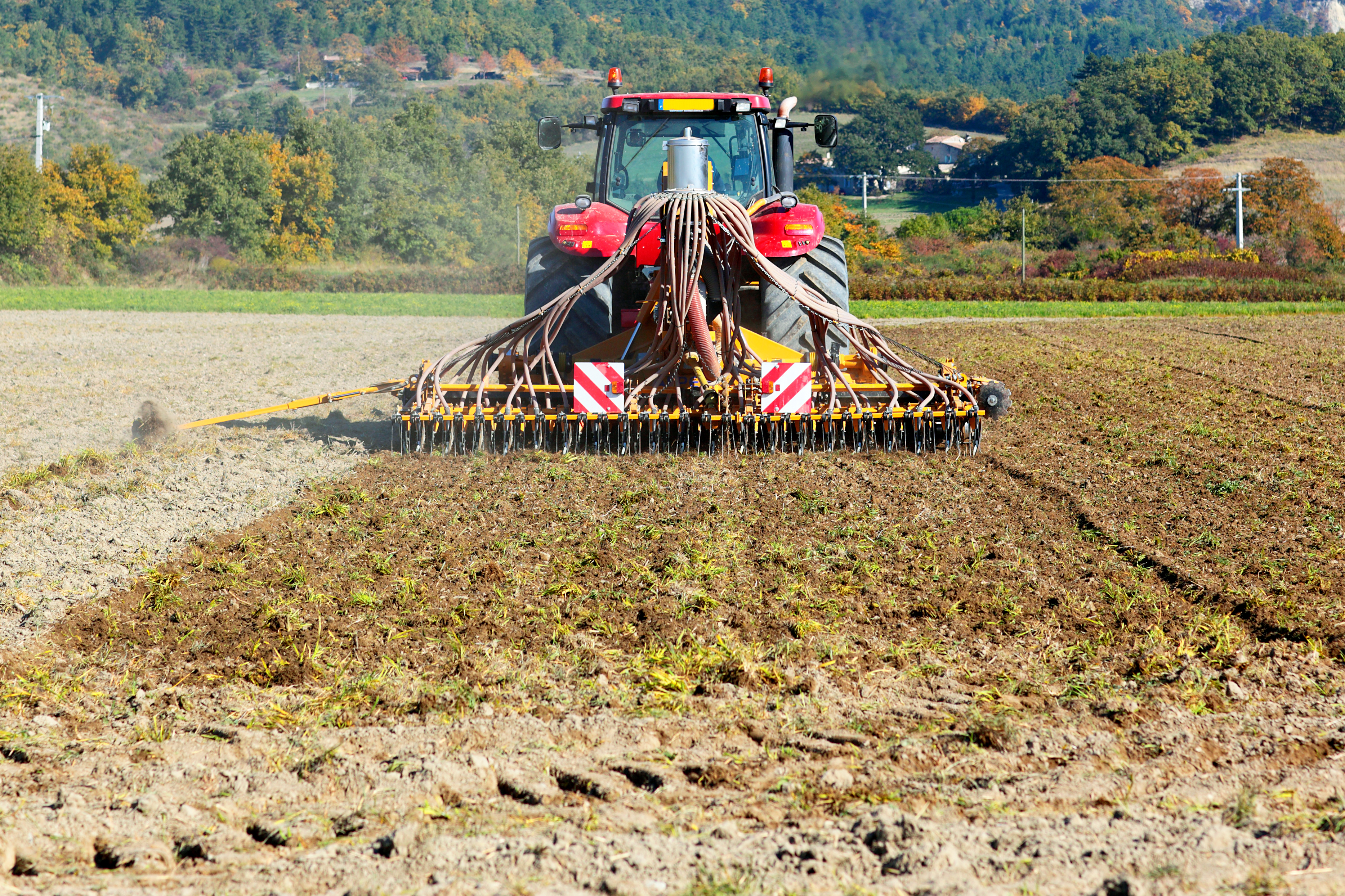 Sowing_060524